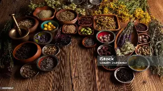 深度解析：桑拿的益处与健康生活方式 封面