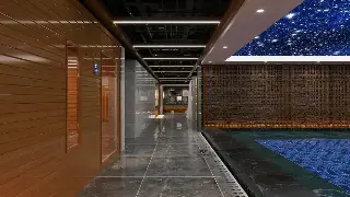 成都桑拿轶事：名士风流与蜀地养生文化的交融