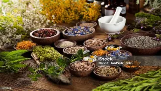 成都养生秘闻：那些历史名人的奇妙轶事与健康启示