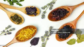 蜀地古韵：那些在推拿中寻迹的文人风骨