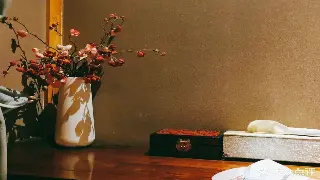 别再瞎补了！不同人群，我的私藏养生秘籍大公开