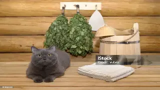 告别酸痛！学会这几招，随时随地给自己“松松筋骨”！